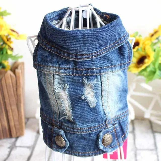 2020 Spring Denim Dog Vest Graffiti Tassel Clothes for Small Dogs Shih Tzu Yorkshire Puppy Jeans Jacket for Chihuahua ropa perro