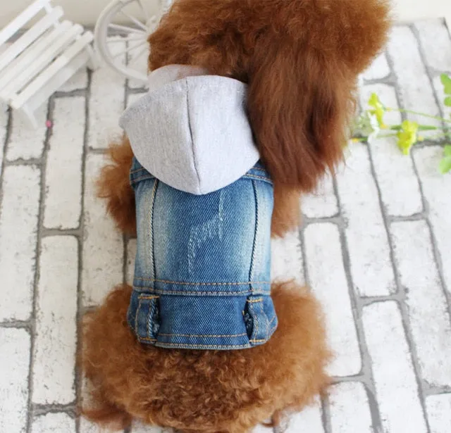 2020 Spring Denim Dog Vest Graffiti Tassel Clothes for Small Dogs Shih Tzu Yorkshire Puppy Jeans Jacket for Chihuahua ropa perro