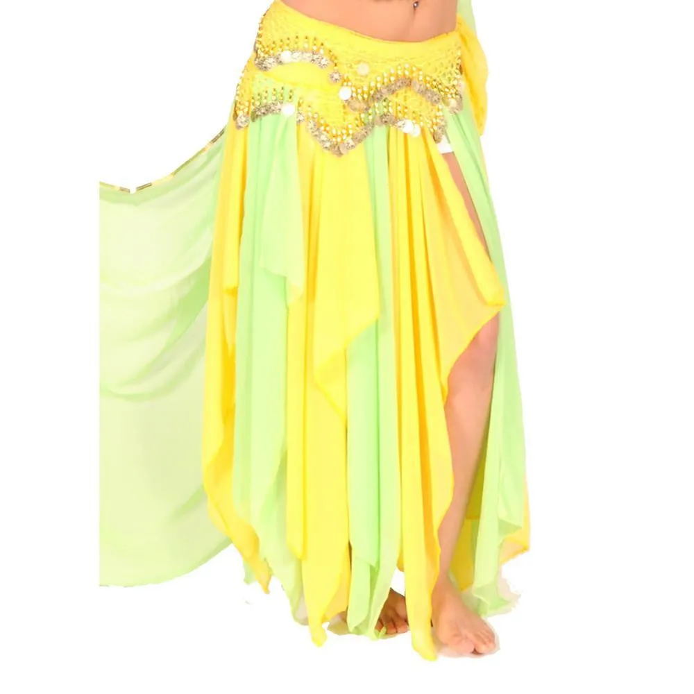 Belly Dance 13 Panel Chiffon Skirt