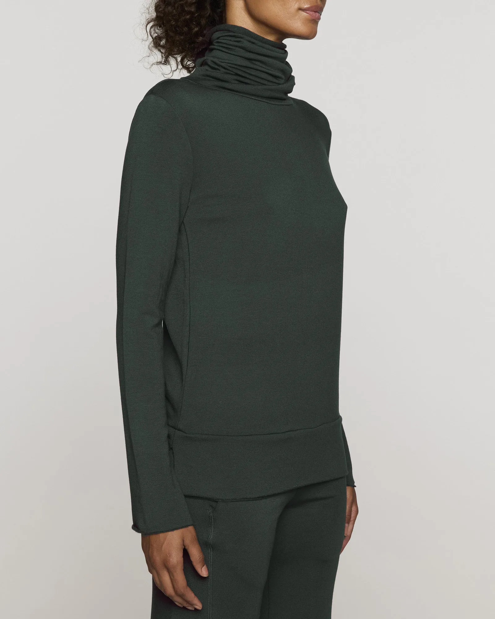 Capsule Turtleneck