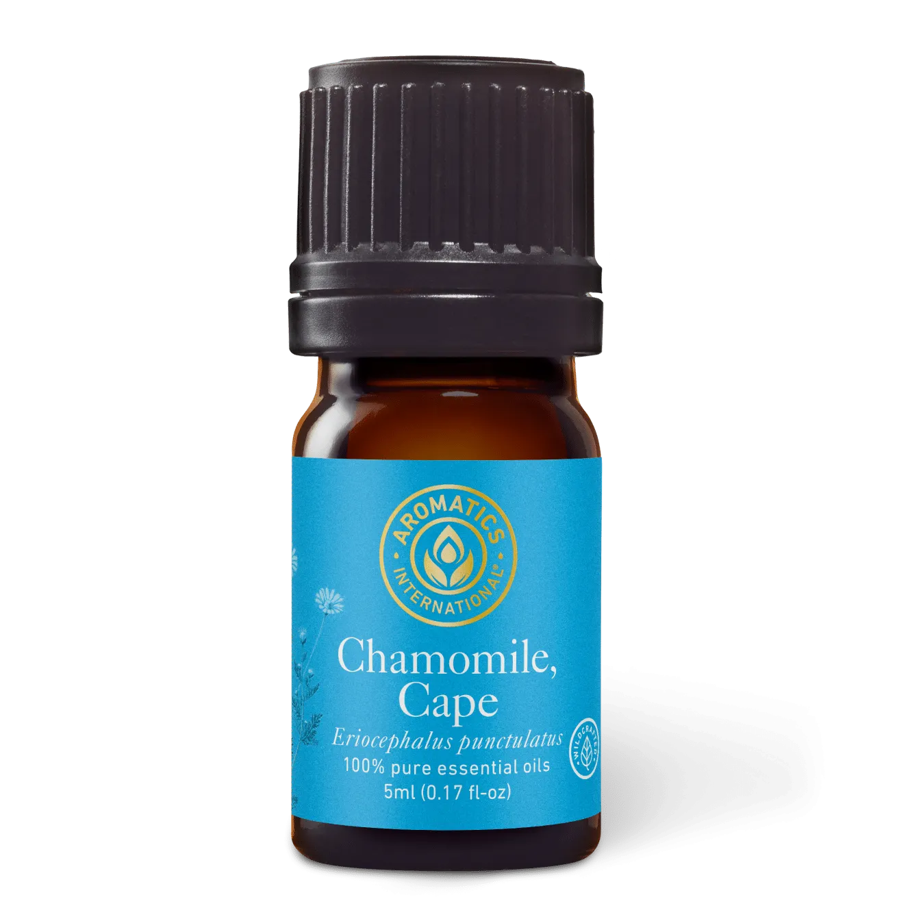 Chamomile Cape Essential Oil