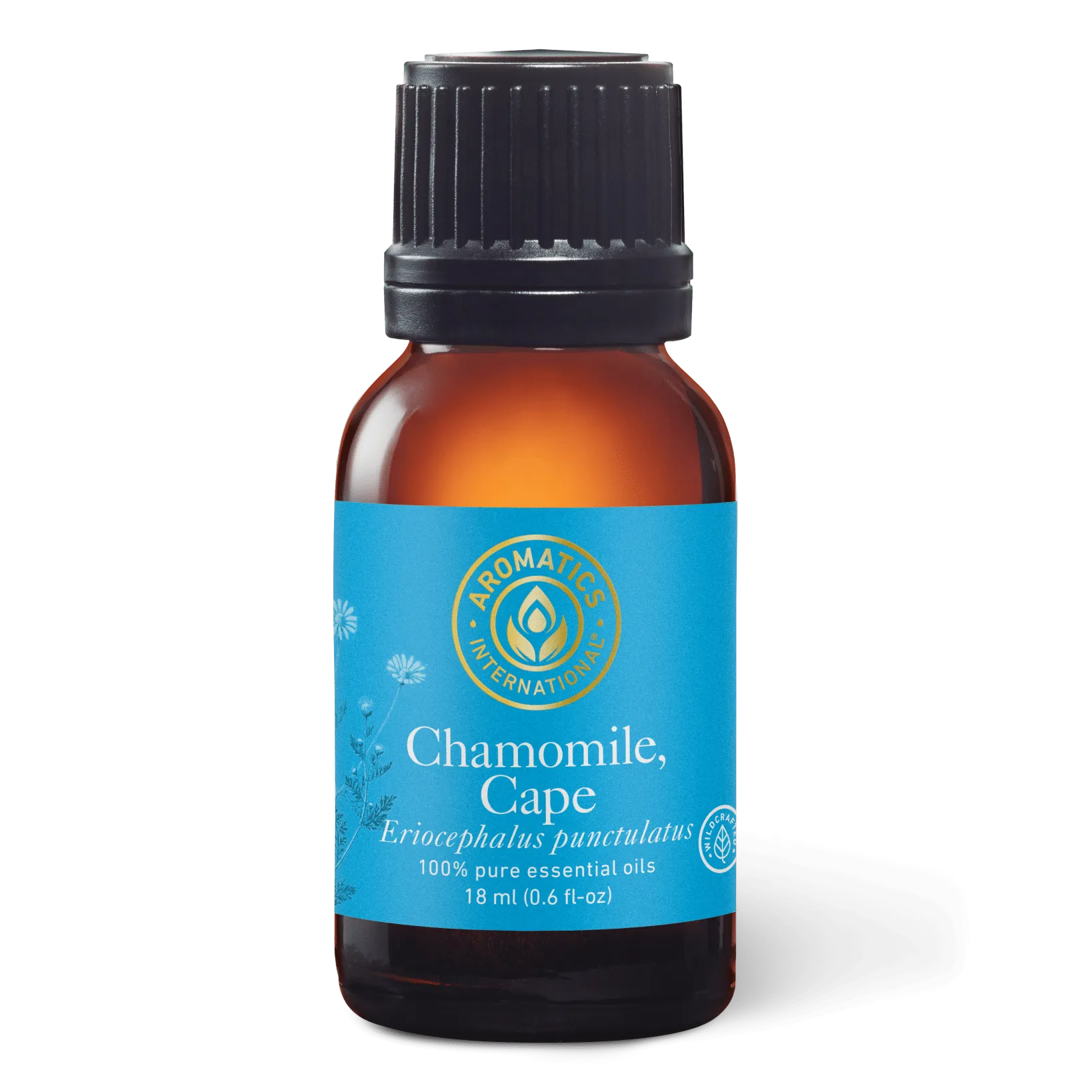 Chamomile Cape Essential Oil