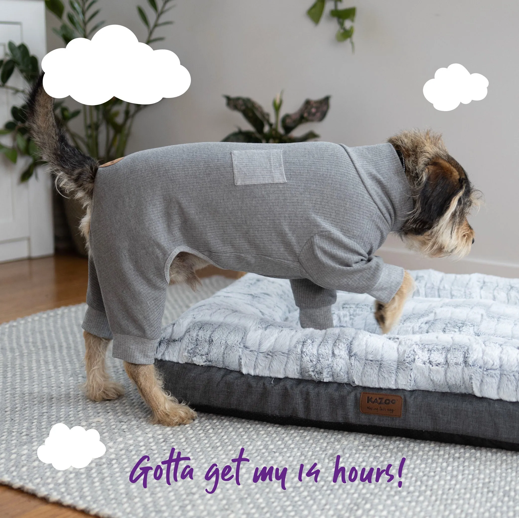 Long John Dog Pyjamas - Grey