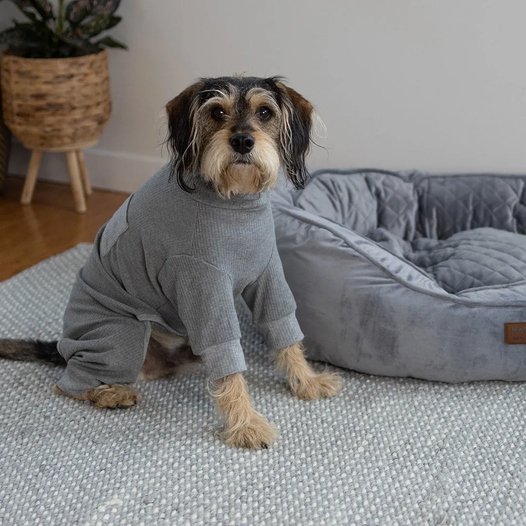 Long John Dog Pyjamas - Grey