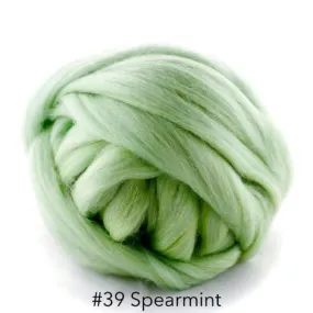 Polish Merino Wool Top - Spearmint